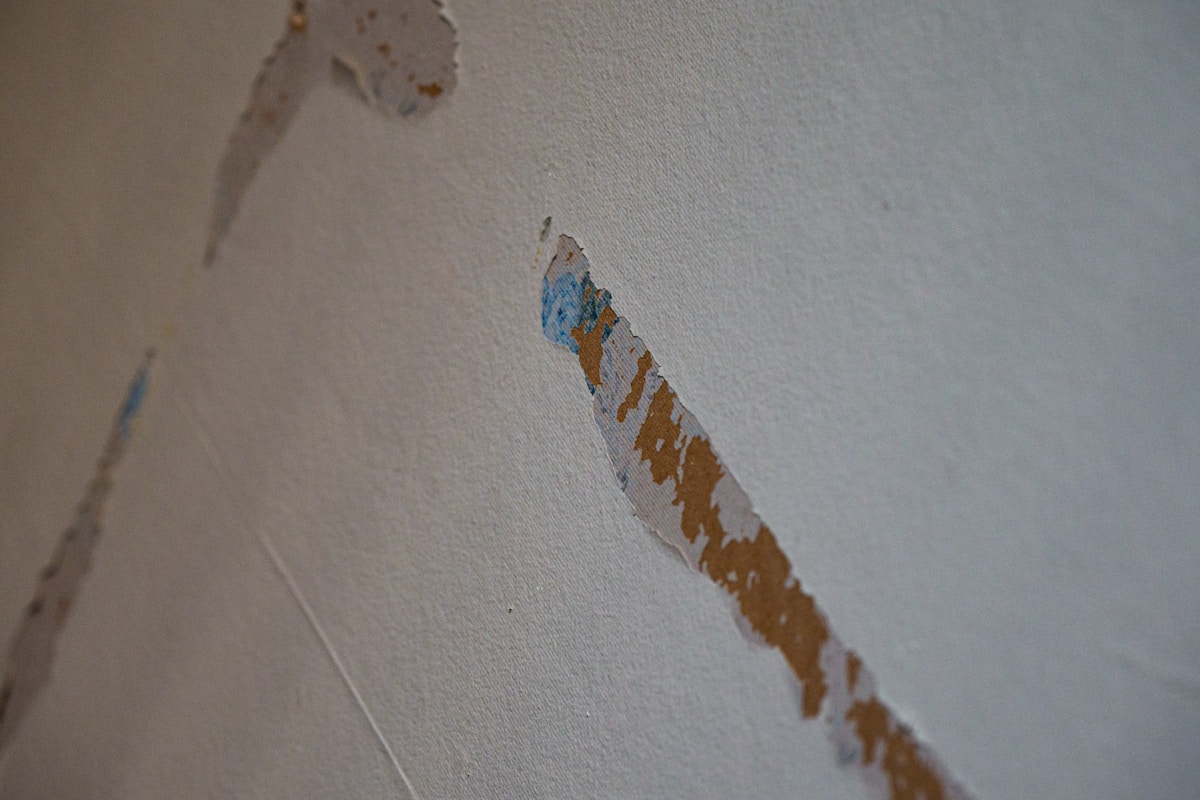 Mold Remediation service in Hartford, CT